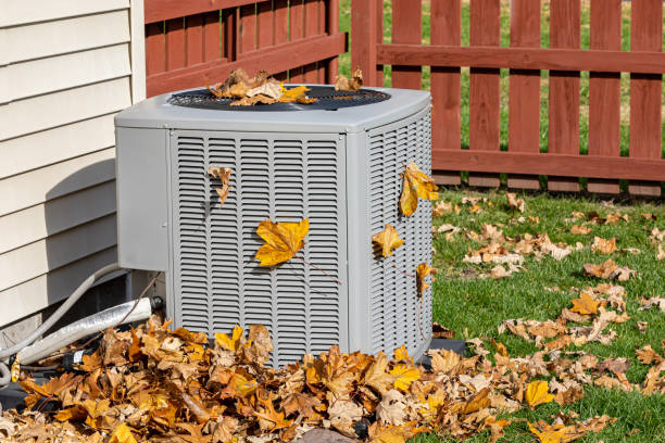 Best HVAC Tune-Up Services  in Sandwich, IL